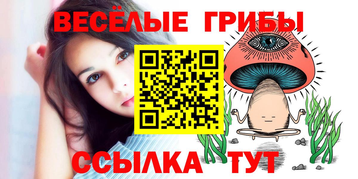 Галлюциногенные грибы Psilocybe Александров