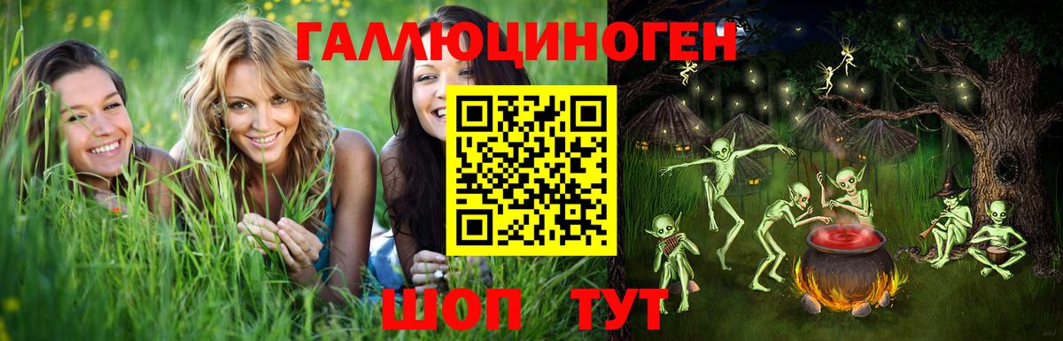Александров  Галлюциногенные грибы MAGIC MUSHROOMS  Вход с VPN 
