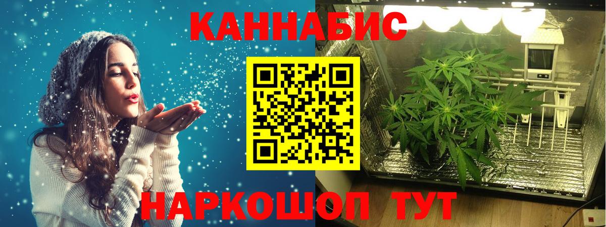 Бошки марихуана Bruce Banner  МАРИХУАНА Bruce Banner  Александров  Каннабис тримм  Вход с VPN  Конопля Amnesia 